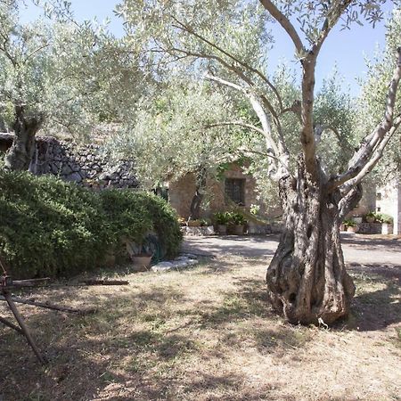 Villa Es Coco, Soller Puerto de Sóller Ngoại thất bức ảnh