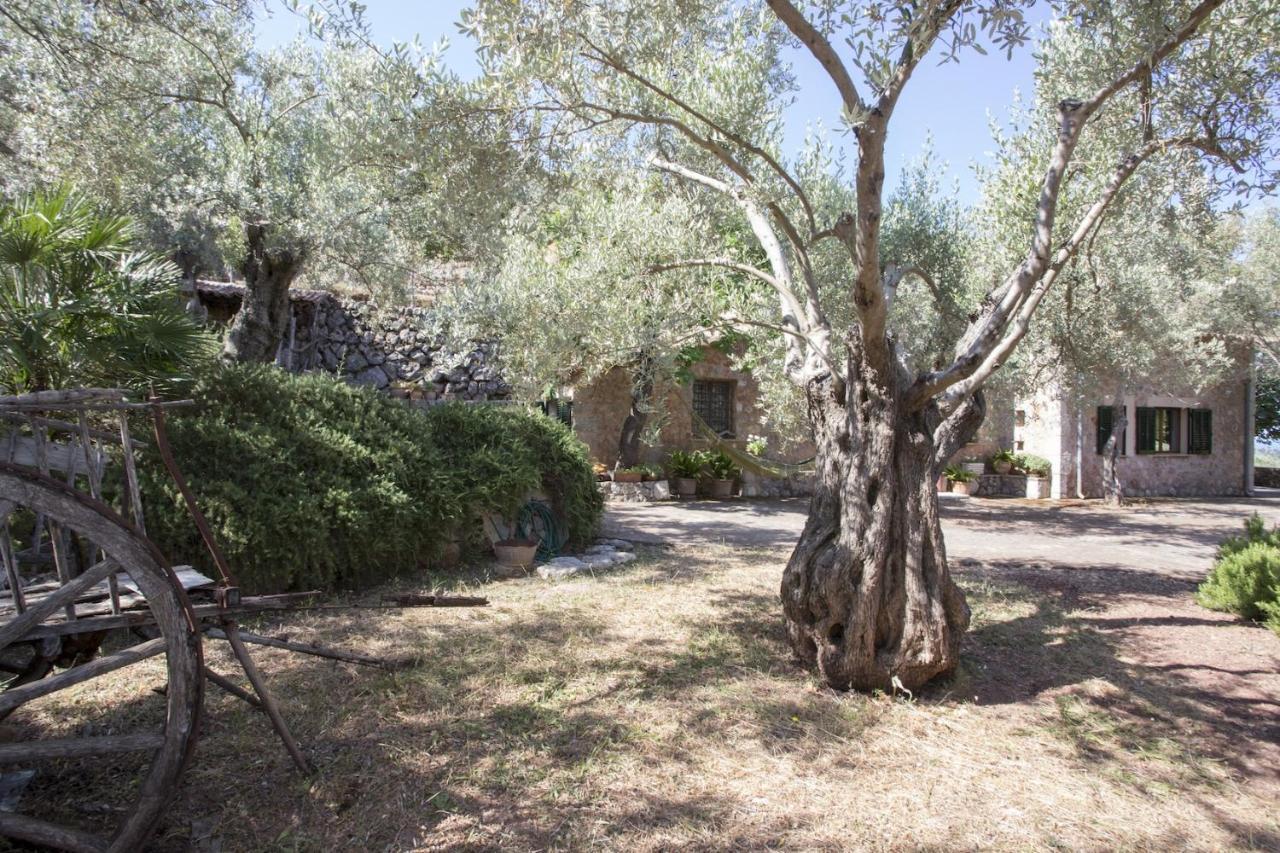 Villa Es Coco, Soller Puerto de Sóller Ngoại thất bức ảnh