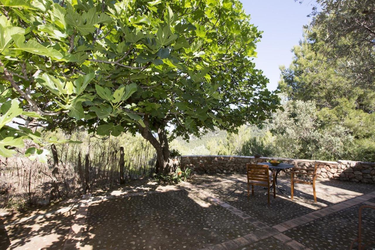 Villa Es Coco, Soller Puerto de Sóller Ngoại thất bức ảnh