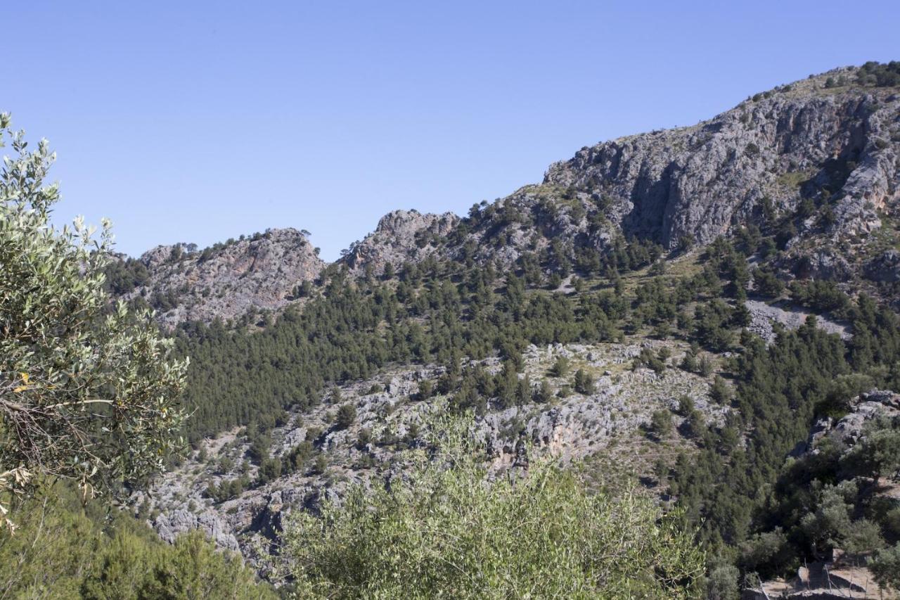 Villa Es Coco, Soller Puerto de Sóller Ngoại thất bức ảnh